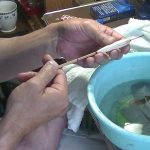 修正浮子の仕上げの磨き　(へら浮子工房咲良）