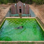 Build The Most Wonderful Underground Swimming Pool Around Underground House