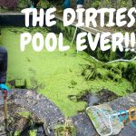 Cleaning Grandma’s Filthiest Pool -Incredible Transformation