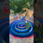 How To Build The Most Modern Underground Swimming Pools with Underground House