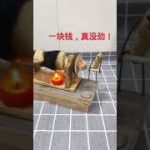 How To Build The Most Modern Underground Swimming Pools with Underground House