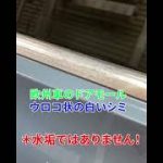 欧州車ドアモール　ウロコ取り　#Shorts