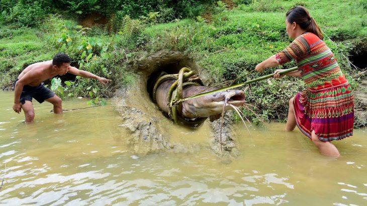 Survival Life  Skills Catch Catfish Interesting, Catch Big Catfish By A Cord Noose In A Deep Hole