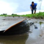 The Luckiest Fishing! Catching Black Catfish & Army Catfish in Little Water