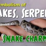 The Symbolism of Snakes, Serpents and Snake charmers