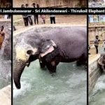 Thiruvanaikoil Sri Jambukeswarar – Sri Akilandeswari -Thirukoil Elephant Akila Bathing Pool,Tiruchi.
