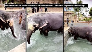 Thiruvanaikoil Sri Jambukeswarar – Sri Akilandeswari -Thirukoil Elephant Akila Bathing Pool,Tiruchi.