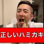 正しい歯の磨き方#shorts