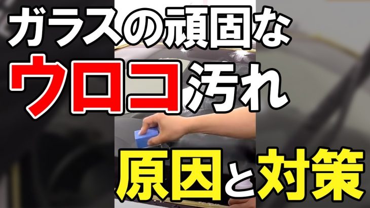 #shorts 窓ガラスの落ちにくい「ウロコ汚れ」洗車のプロが教える原因と対策