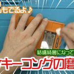 【メンテ】ドンキーコングの磨き方！あれで磨くのが一番良いのだ！あんまんと戦いゴッコ！【研磨剤・ゲームアンドウォッチ・ゲームウオッチ・フェレット】