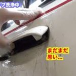 パンダドアノブ