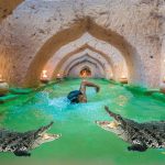 Build Swimming Pool Crocodile Tunnel Water Slide Around Underground House