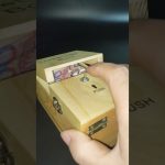 How To Build The Most Modern Underground Swimming Pools with Underground House