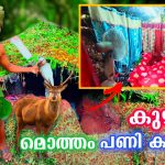 Primitive Underground House വേറെ Level ആക്കി⚡️Fully Modified?Part 2|?️|BUROOJ 4 TECH