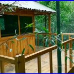 assemble a treehouse in a beautiful bamboo forest