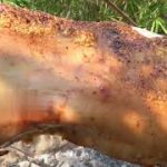 #shorts #reels..||Temple swimming pools underground||….youtuber