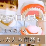 【歯磨き】正しい磨き方を教えます！【歯周病】【口臭予防】