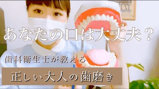 【歯磨き】正しい磨き方を教えます！【歯周病】【口臭予防】