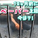 駄目元で？！時短磨きオリジナル磨き剤で施工#スパグレ #マフラーカバー #磨き