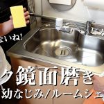 【ルームシェア】キッチンシンクを鏡面磨きをしたら、ピカピカになりすぎて最高【20代会社員】