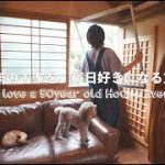 ＃30 古い家を好きになれるコツ｜サッシ磨き｜網戸張り替え｜100均海釣り｜夏の赤紫蘇ジュース｜