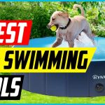 Best Dog Swimming Pools 2021 [Top 5 Picks]