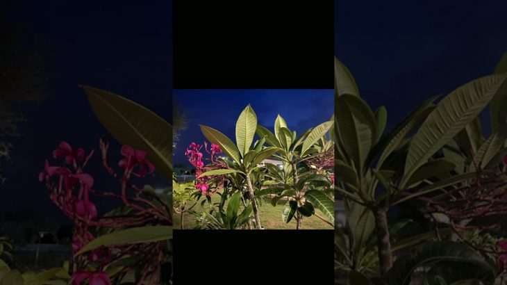 Rama Enclave Best Ploting in Jaipur, Property in Jaipur