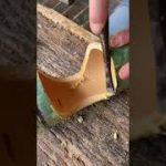 Simple Bamboo Hack #shorts