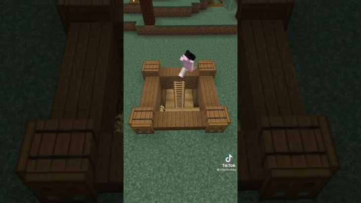 Simple Underground House In MineCraft