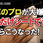 【キズはつかないのか!?】洗車のプロが車のボディ用ウェットシートで洗車してみた！