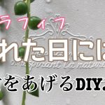 アラフィフ　いい女磨き