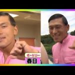 やる気のないオードリか～すがとやる気のあるオードリか～すが