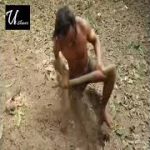 Best Building Underground Water Slide Swimming Pool and Temple Tunnel