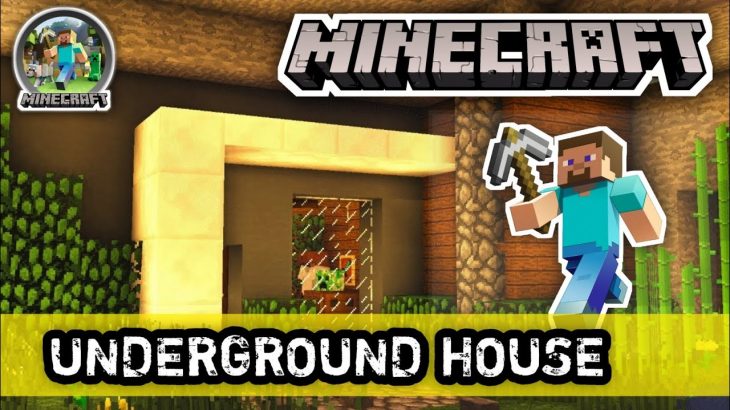 Minecraft Underground House ?