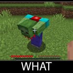 Minecraft wait what meme part 20 headless zombie