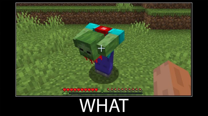 Minecraft wait what meme part 20 headless zombie