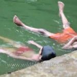 Step wells of India   historical water management