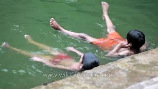 Step wells of India   historical water management