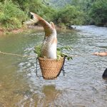 Survival Skills : Fishing With Special Skills, Primitive Life In The Forest Mountains