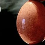 【卵の殻アート】たまご磨き ピカール鏡面仕上げ egg polish