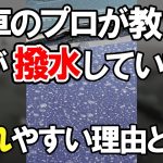 #shorts 洗車のプロが教える！車が水を弾いていてもシミや汚れが残る理由とは？