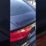 しっかり磨くと何も付けなくてもこんなに弾きます　#shorts