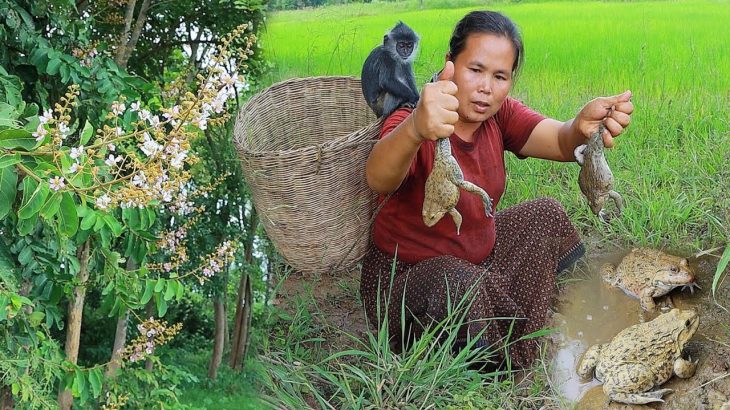 survival in the rainforest- found frogs for cook with french corn -Eating delicious HD