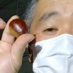 一般人の栗磨きライブ