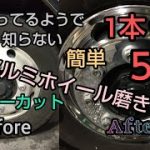 大型トラックの運転手?簡単アルミホイール磨き。ピカピカ