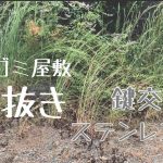 元ゴミ屋敷 草抜き　鍵交換　ステンレス磨き