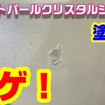 ホワイトパール クリスタルシャイン 塗装編 中古車塗装剥がれ トヨタ 070 修理実況解説で説明します　塗装 車修理  auto body  paint repair