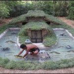 Build Fish Pond In Front Of Underground House,