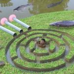 Building Giant Fish Trap Underground Maze Using PVC Pipes – Unique Way Of Catching Fish