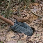 I Build Secret Underground Tunnel House by Ancient Skills